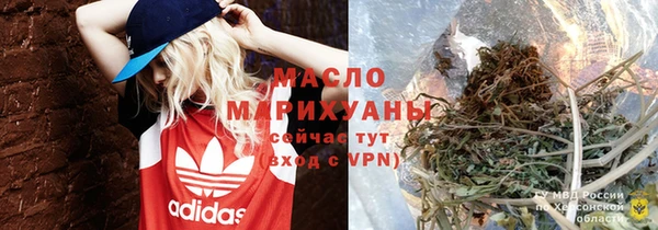 мдпв Карпинск