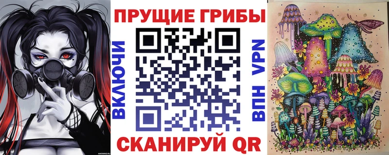 ОМГ ОМГ зеркало  Питкяранта  Псилоцибиновые грибы Cubensis 